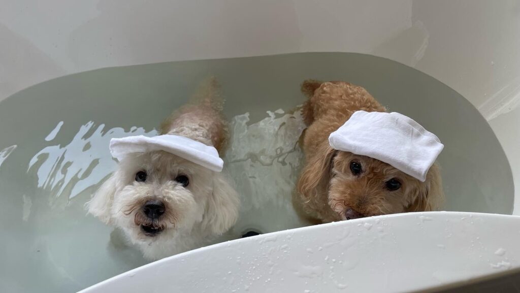 ばばんばばんばんばん