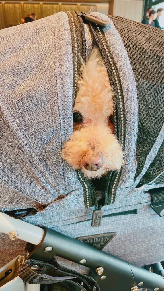 カノンは見た！