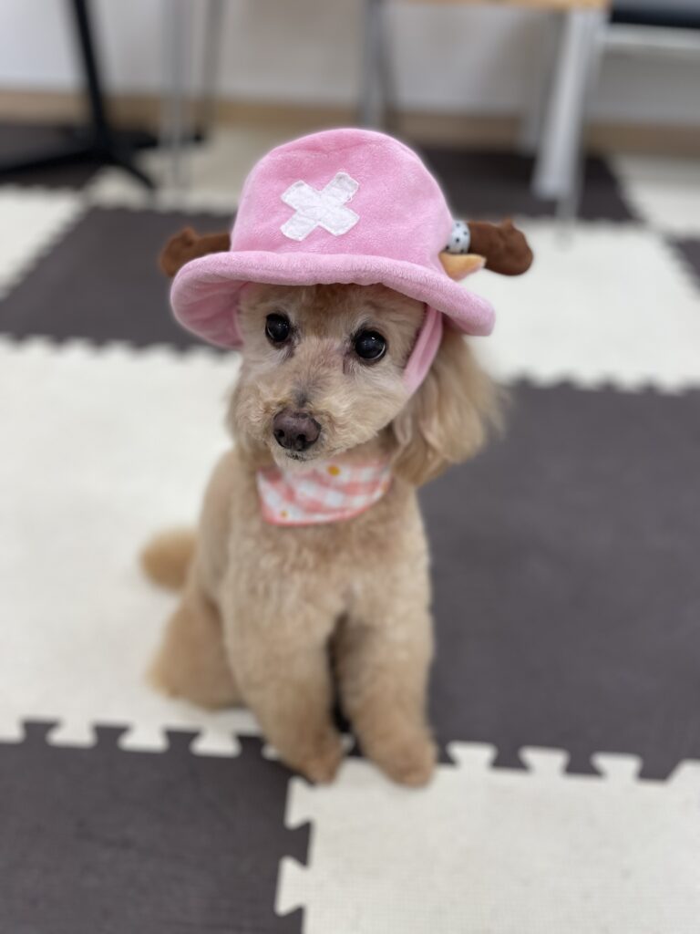 チョッパーカノン