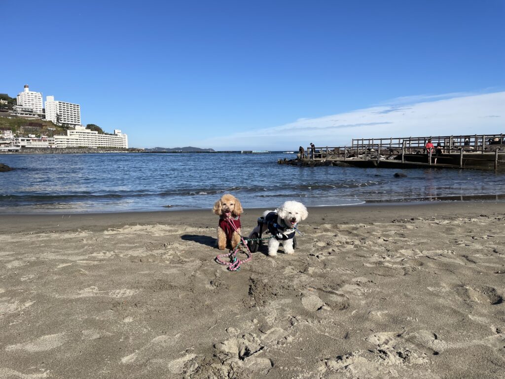 海もよく行ったね