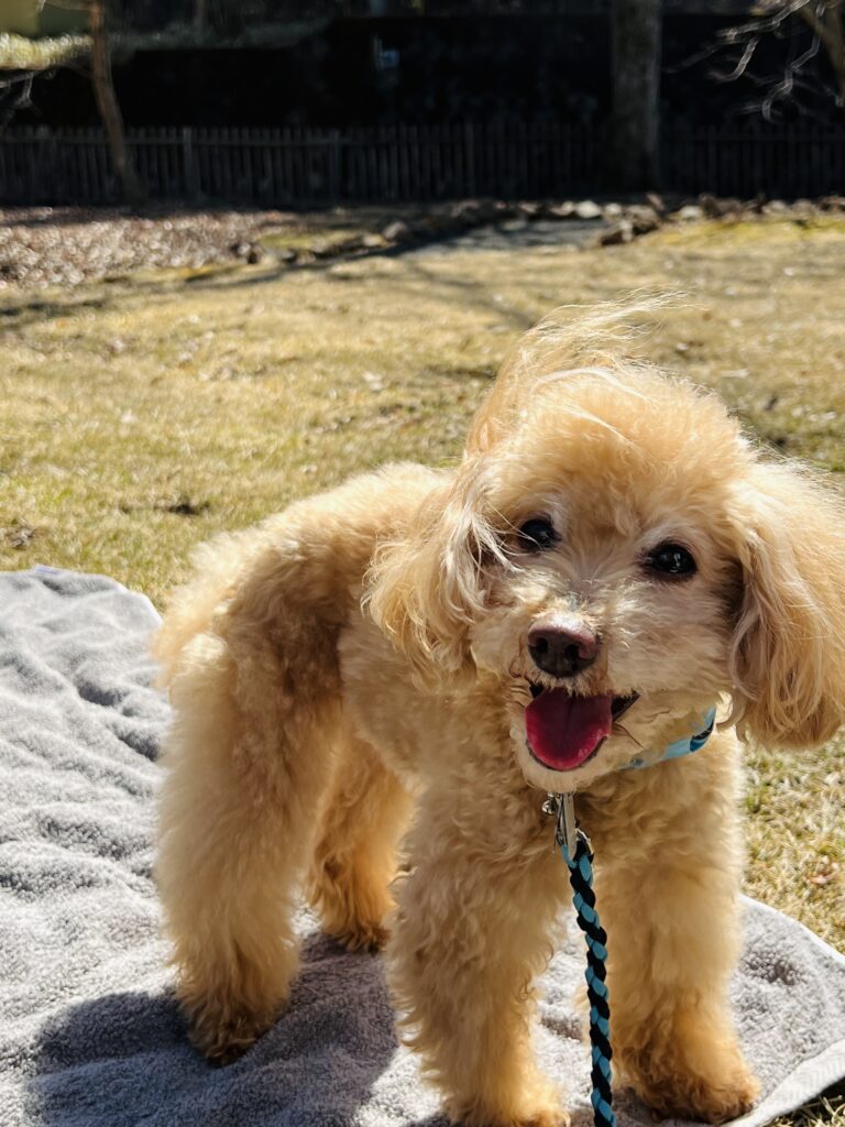 楽しくエクササイズ